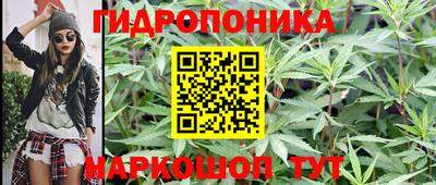 ECSTASY Абакан