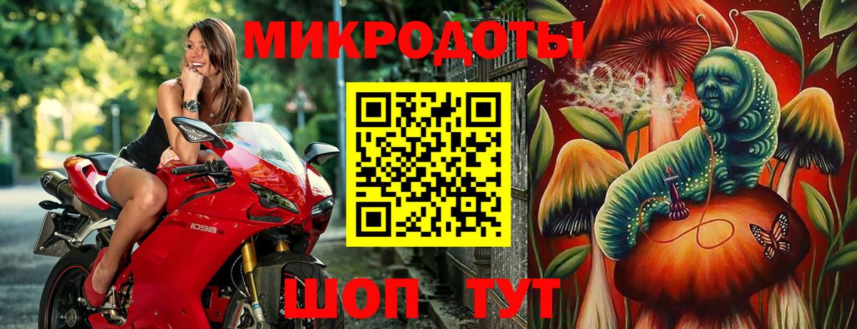 Псилоцибиновые грибы Psilocybe  Вход с VPN  Алушта 